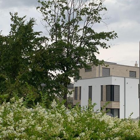 Mosaikhaus Smart Home Würselen Екстериор снимка