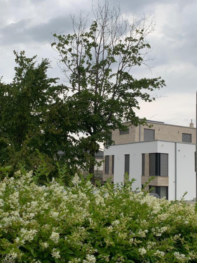Mosaikhaus Smart Home Würselen Екстериор снимка